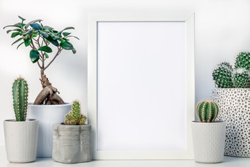 Shelf at home against a white wall. Blank mockup frame with place for text or graphics. Cactus decoration in different pots and bonsai. Scandinavian style