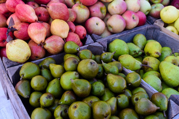 apples