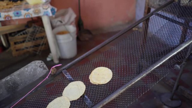 Fresh corn tortillas coming through the tortilla making machine and up the conveyor belt.