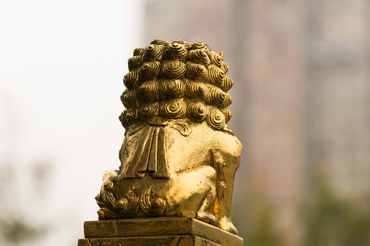 Chinese golden guardian lion seated on polished carved wall block. Hong Kong.