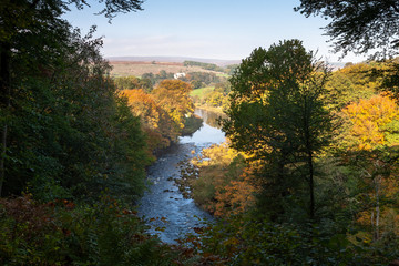 River Wharfe, autumn light