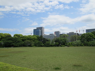 Obraz premium 都会の公園