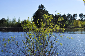 May river landscape