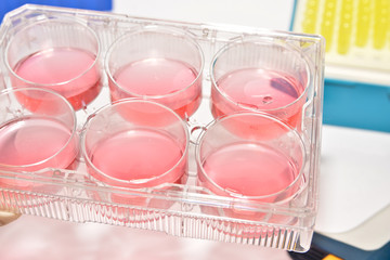 Cell technologies in biological research.