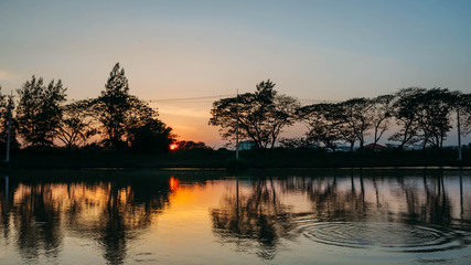 Fototapeta na wymiar Small lake in the evening summer , Thailand