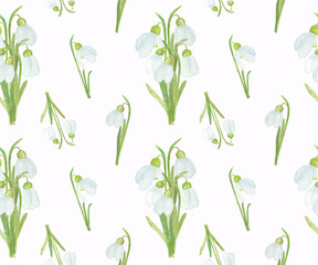 Fototapeta na wymiar Snowdrop flowers seamless pattern on the white background