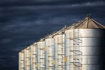 A row of seven round steel silos on farmland in afternoon dramatic light before a storm. Rural New South Wales, Australia.