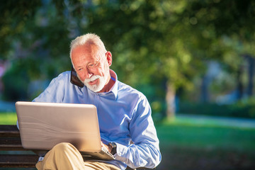 Business correspondence. Focused mature businessman using laptop while sitting in park