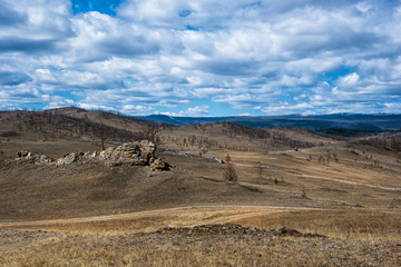 Wide steppe with yellow grass under a blue sky with white clouds Tazheran steppe, Siberia Russia