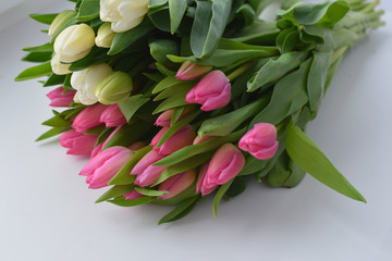 pink and white tulips, bouquet, flowers, holiday, congratulation