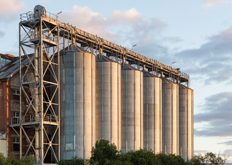 Rural tall steel grain and feed silos in late afternoon light. © Scott Donkin