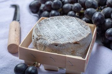 Whole round mature French Tomme cheese close up