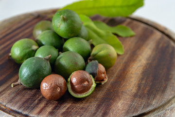 New harvest of ripe fresh Australian macadamia nuts in shell with leaves