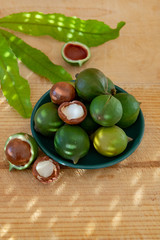 New harvest of ripe fresh Australian macadamia nuts in shell with leaves