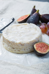 French soft Camembert cheese, original Camembert de Normandie close up