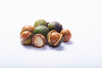 Fresh harvest of macadamia nuts, green macadamia nuts in shell and cracked nuts close up isolated