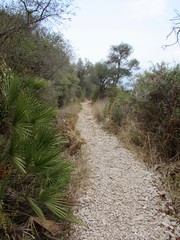 percorso misterioso nella natura
