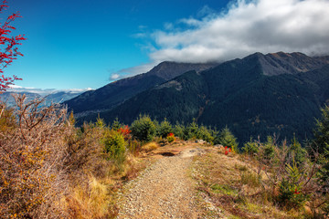 View of Queenstown Hill  hiking track