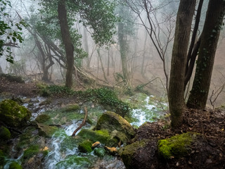 Fototapeta premium OLYMPUS DIGITAL CAMERA