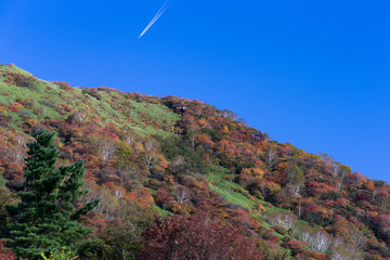 Fototapeta na wymiar 那須岳の紅葉と飛行機雲#4