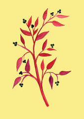 Hand drawn brunch flower summer spring illustration color background
