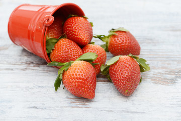 Strawberries in the Bucket