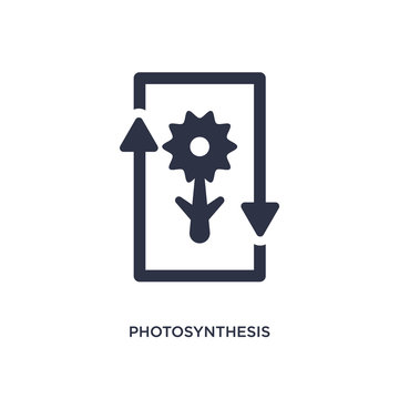 photosynthesis icon on white background. Simple element illustration from education 2 concept.