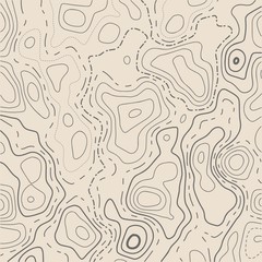 Fototapeta premium topographic map patterns.