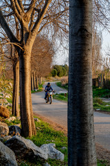 Driving a motorbike on a rural road