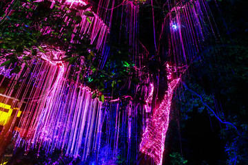 Colourful LED decorations hanging on a big tree. Shot in Avatar Garden, Penang, Malaysia during night.