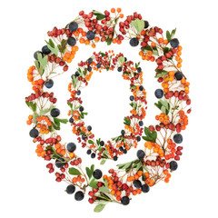 Abstract autumn berry wreath with sloe, hawthorn and rowan berries on white background with copy space.