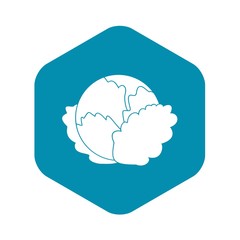 Cabbage icon in simple style isolated on white background