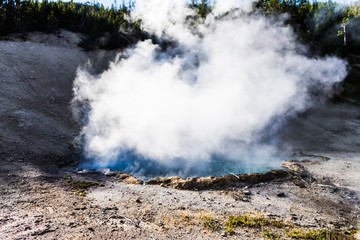 Steaming geothermic pool at Yellowstone National Park