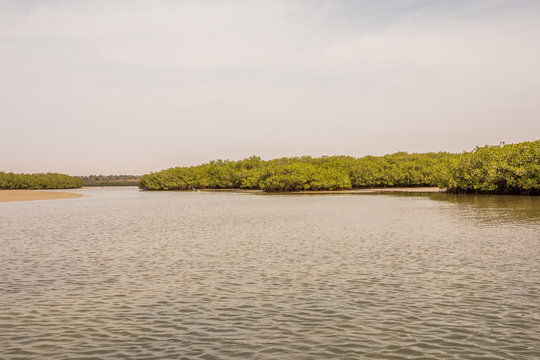 Lagune Somone Africa, Senegal