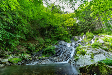 檜原村　夢の滝