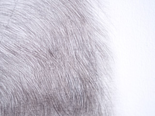 line pencil on white paper abstract background and texture.