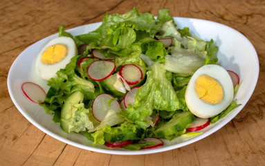 Green salad with lettuce, cucumbers, radishes, onion and boiled egg.