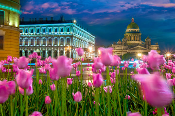 St. Petersburg. Russia. St. Isaac's Square in the evening. St. Isaac's Cathedral through the...