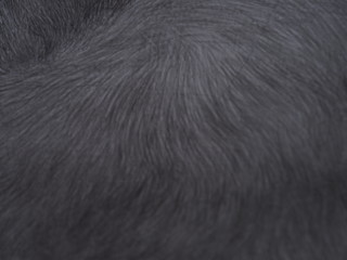 line pencil on white paper abstract background and texture.