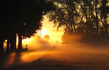 Nebel Nebelschwaden Morgenstimmung Früh Tagesanbruch Sonne Sonnenaufgang Sonnenuntergang Morgenrot Weg Straße Baum Bäume Stimmungsvoll Stimmung Gegenlicht Sonnenstrahlen Stille Frieden Ruhe