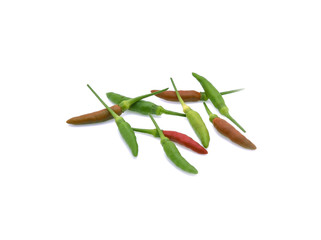 The Thai red and green guinea pepper