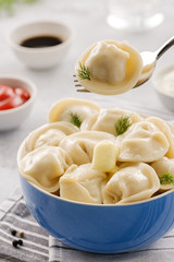 Homemade meat dumplings - russian pelmeni. Dumplings, filled with meat, ravioli. Dumplings with filling