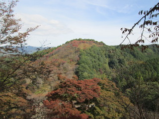 秋の山