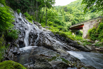 Fototapeta na wymiar 檜原村　夢の滝