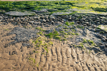 Low tide on Cabourg beach, France