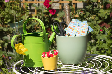 Gardening card. Concept: English Garden. 