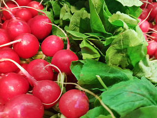 Fresh organic radishes with leaves from the garden, for sale at the farmers market 