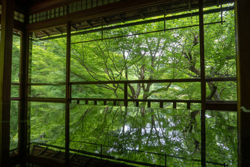 京都 瑠璃光院