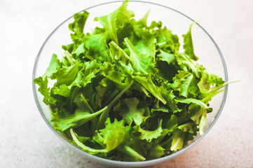 Fresh vegetable salad in glass bowl on a kitchen table