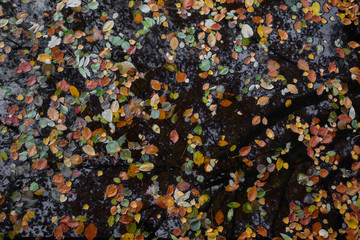 Berlin, Germany, park